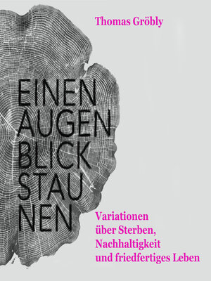 cover image of Einen Augenblick staunen
